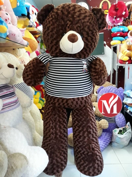 Gấu bông Teddy